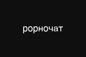 рорночат