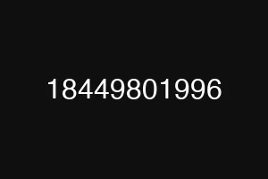 18449801996