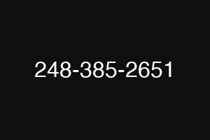 248-385-2651
