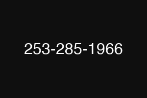 253-285-1966