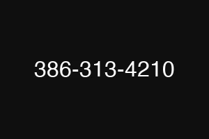 386-313-4210