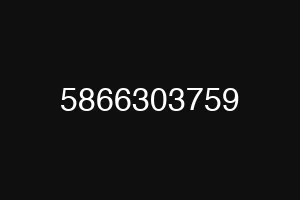 5866303759