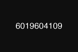 6019604109