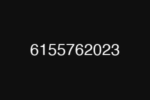 6155762023