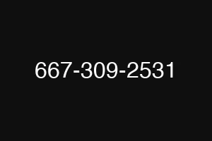 667-309-2531