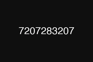 7207283207