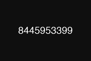8445953399