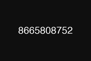 8665808752